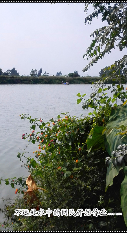 20141022_123318_011.jpg