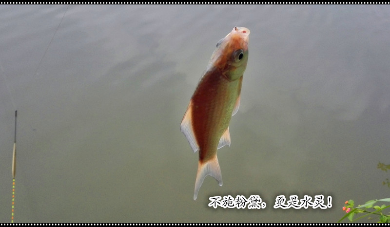 20141022_123318_013.jpg