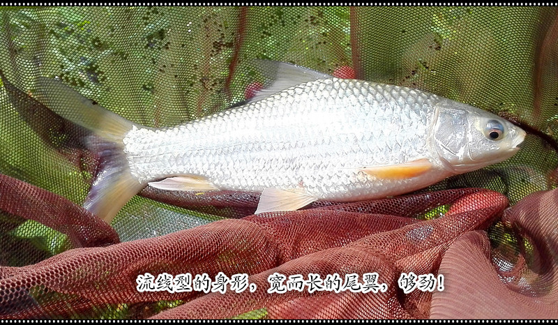 20141022_123318_014.jpg