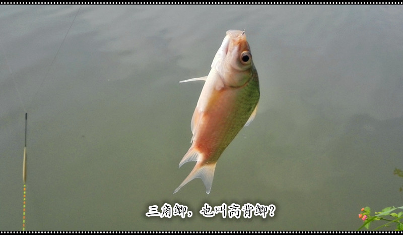 20141022_123318_016.jpg