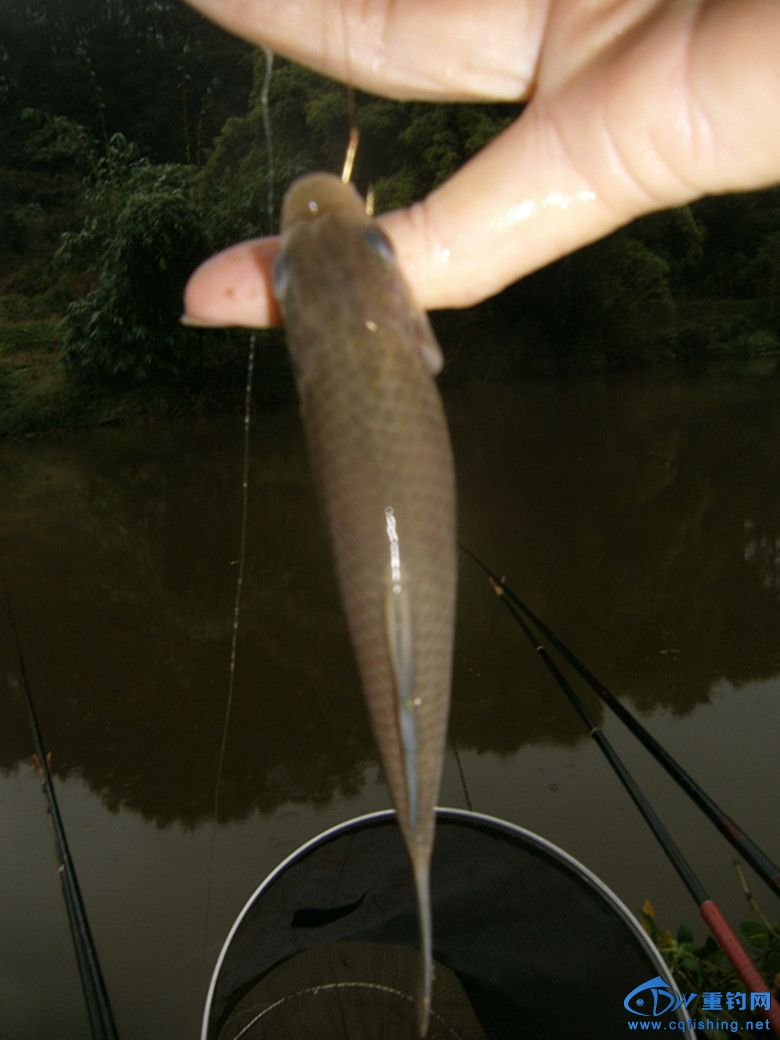 GEDC0042_.jpg