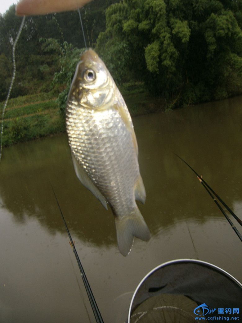 GEDC0045_.jpg