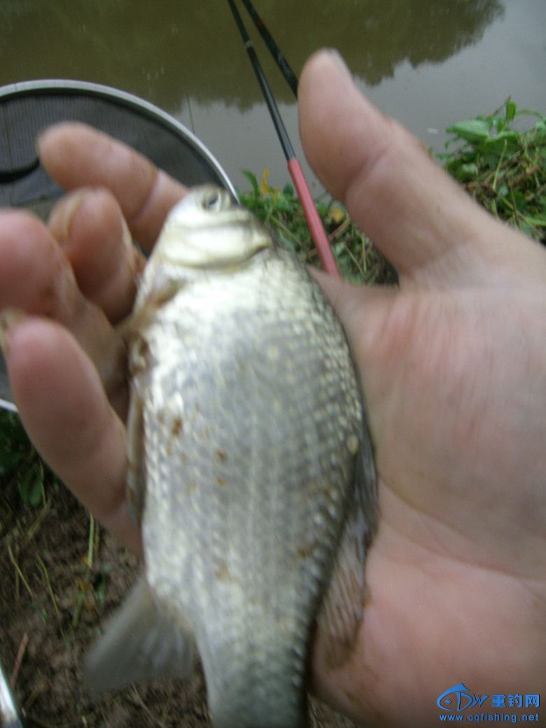 GEDC0046_.jpg