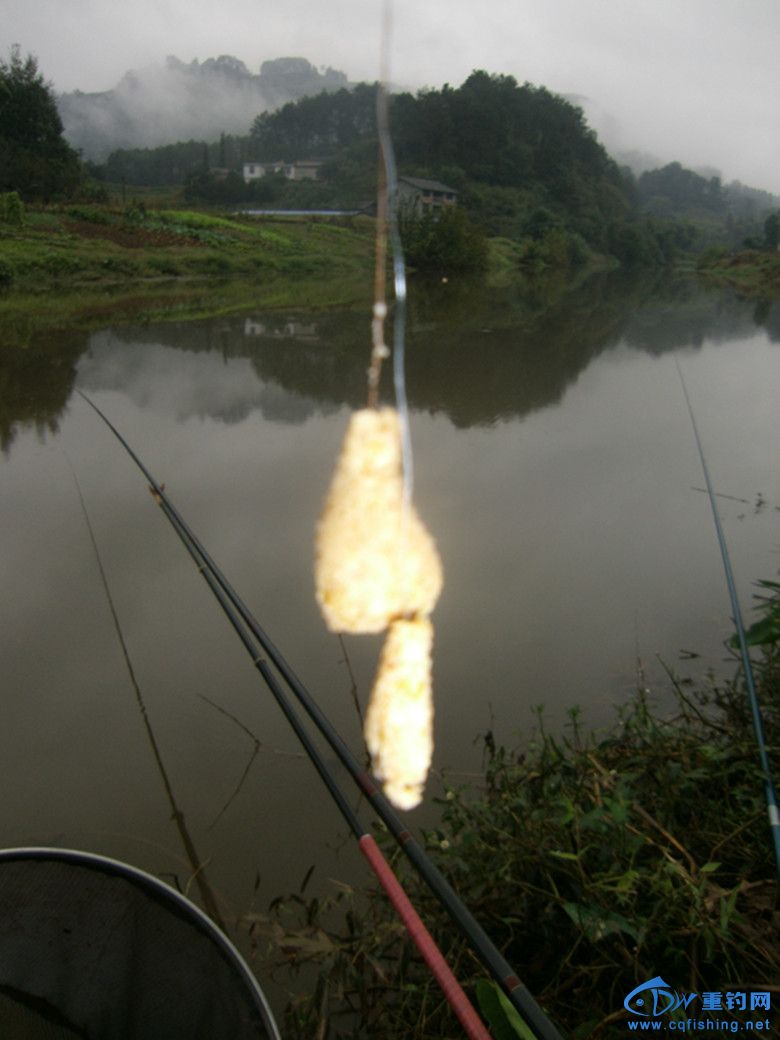 GEDC0064_.jpg