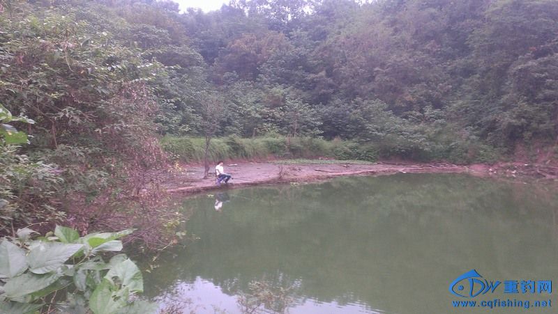 IMAG0510.jpg