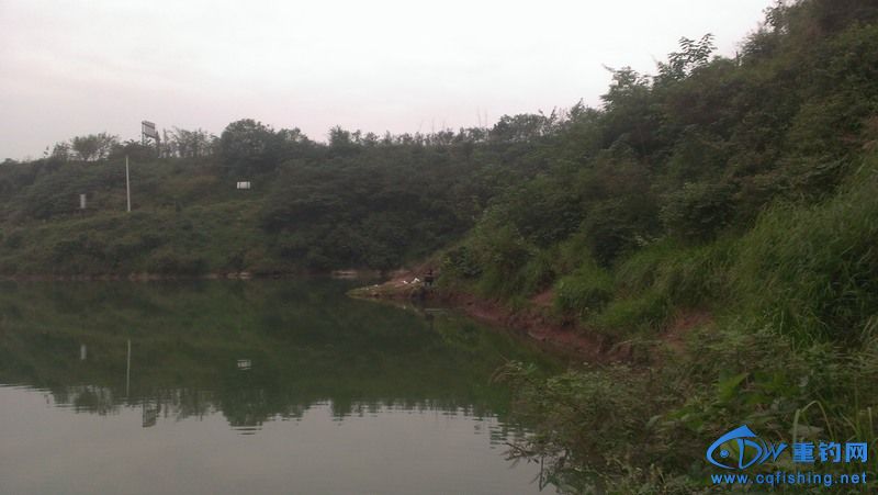IMAG0511.jpg