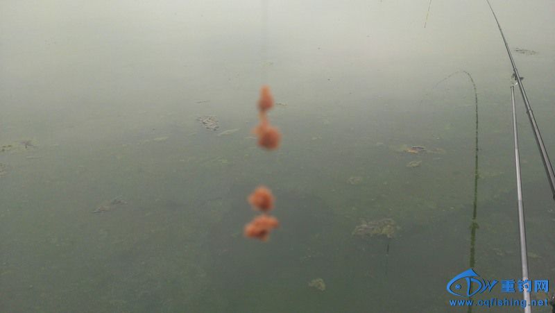 IMAG0518.jpg
