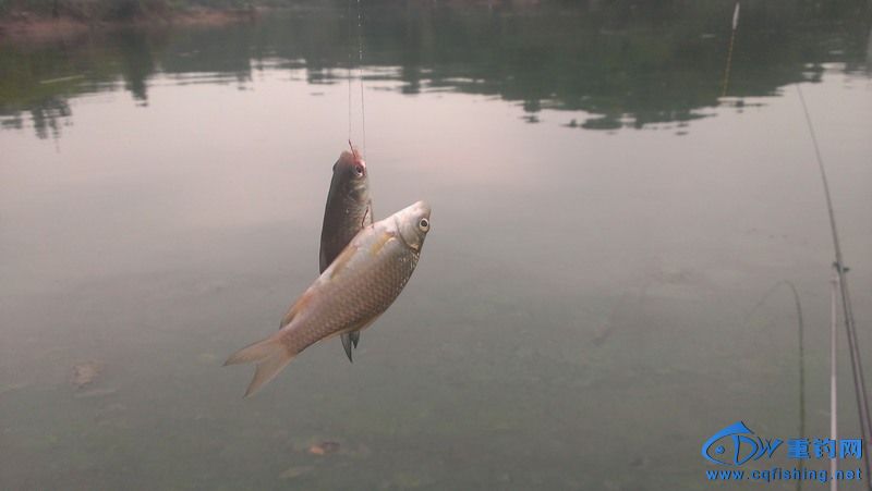 IMAG0520.jpg
