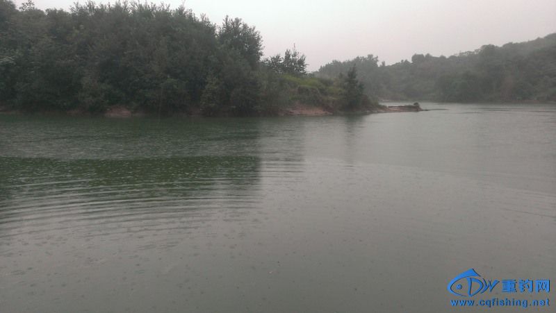 IMAG0525.jpg