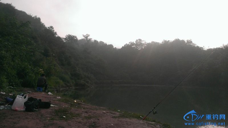 IMAG0533.jpg
