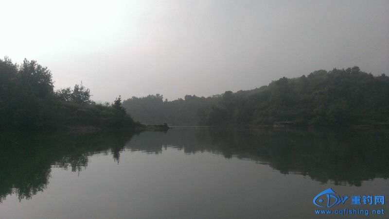 IMAG0535.jpg