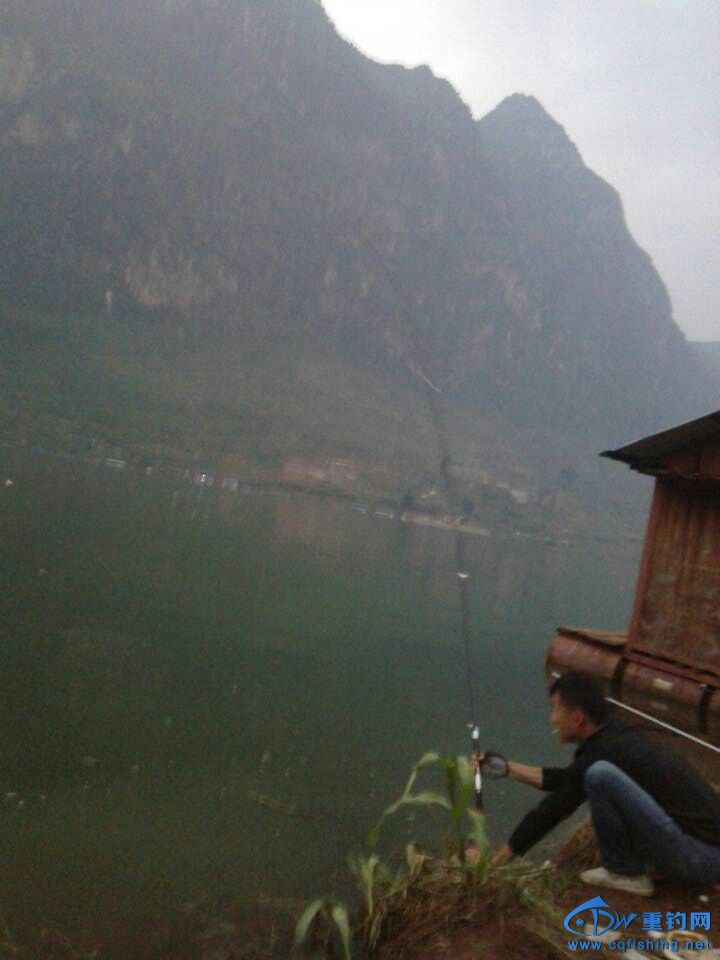 20141025_074436_014.jpg