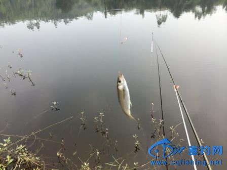 IMG_1150.JPG