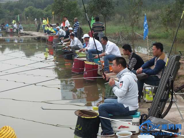 DSCF1003.JPG