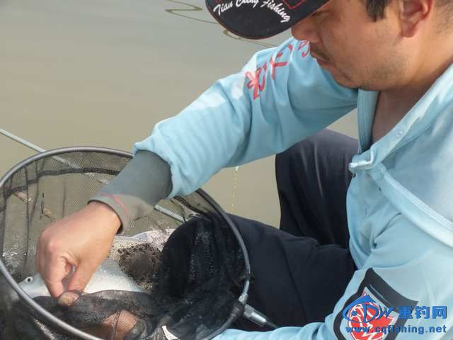 DSCF1162.JPG