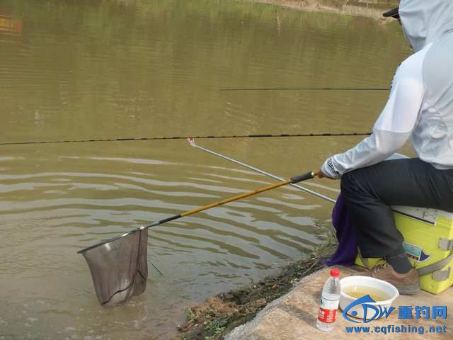 DSCF1173.JPG