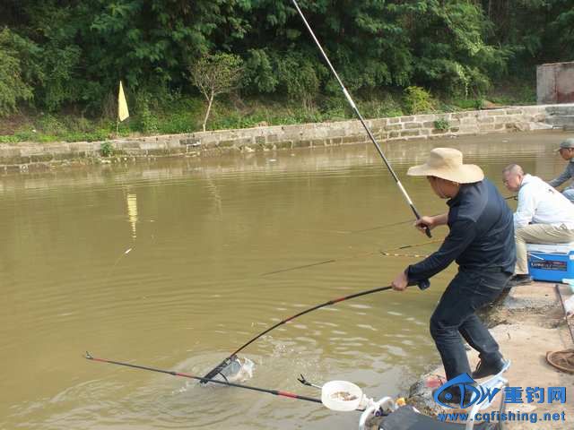 DSCF1184.JPG