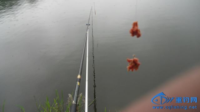 CIMG0997.JPG