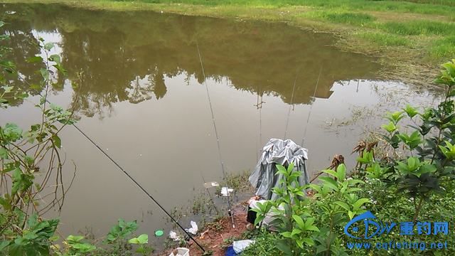 IMG_20140914_081824.jpg