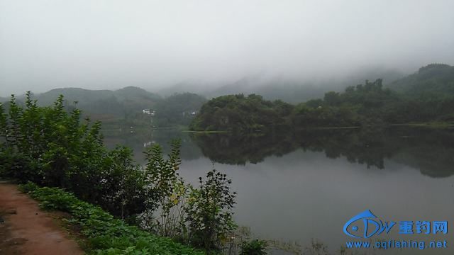 IMG_20140914_081859.jpg