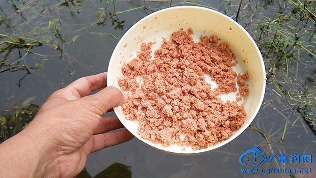 IMG_20140914_085642.jpg