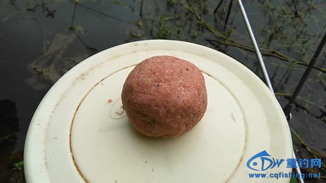 IMG_20140914_091830.jpg
