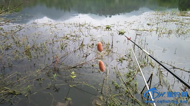 IMG_20140914_092203.jpg
