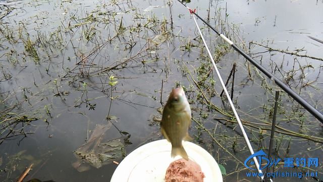 IMG_20140914_093301.jpg