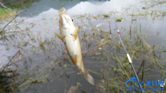 IMG_20140914_093907.jpg