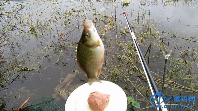 IMG_20140914_093912.jpg