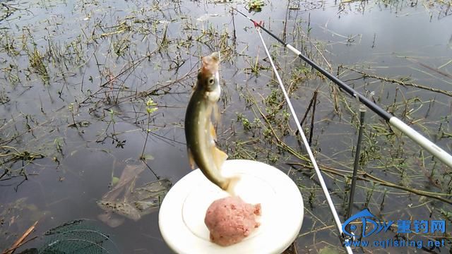 IMG_20140914_094207.jpg