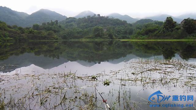 IMG_20140914_095831.jpg