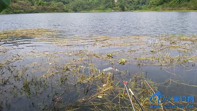IMG_20140914_115902.jpg