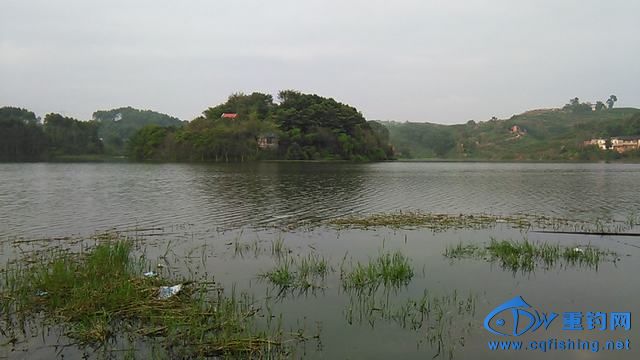 IMG_20140919_180839.jpg