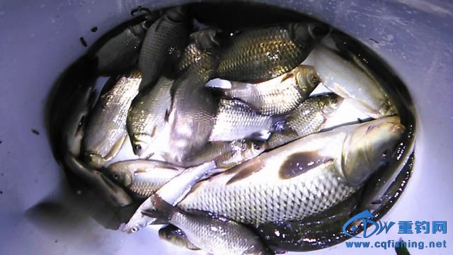 IMG_20140919_203617.jpg