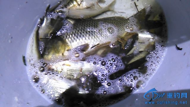 IMG_20140919_203756.jpg