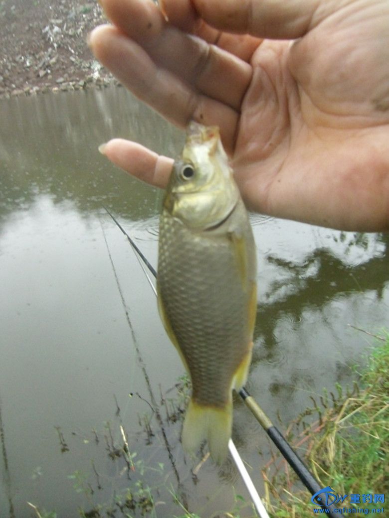 GEDC0038_.jpg