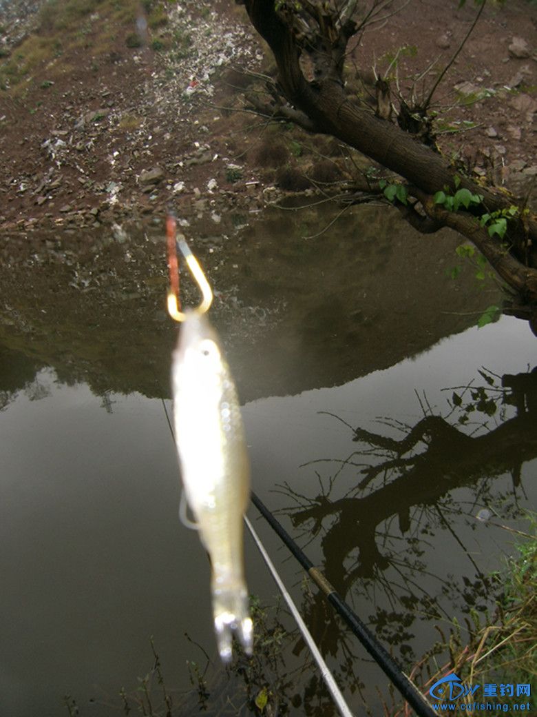 GEDC0039_.jpg
