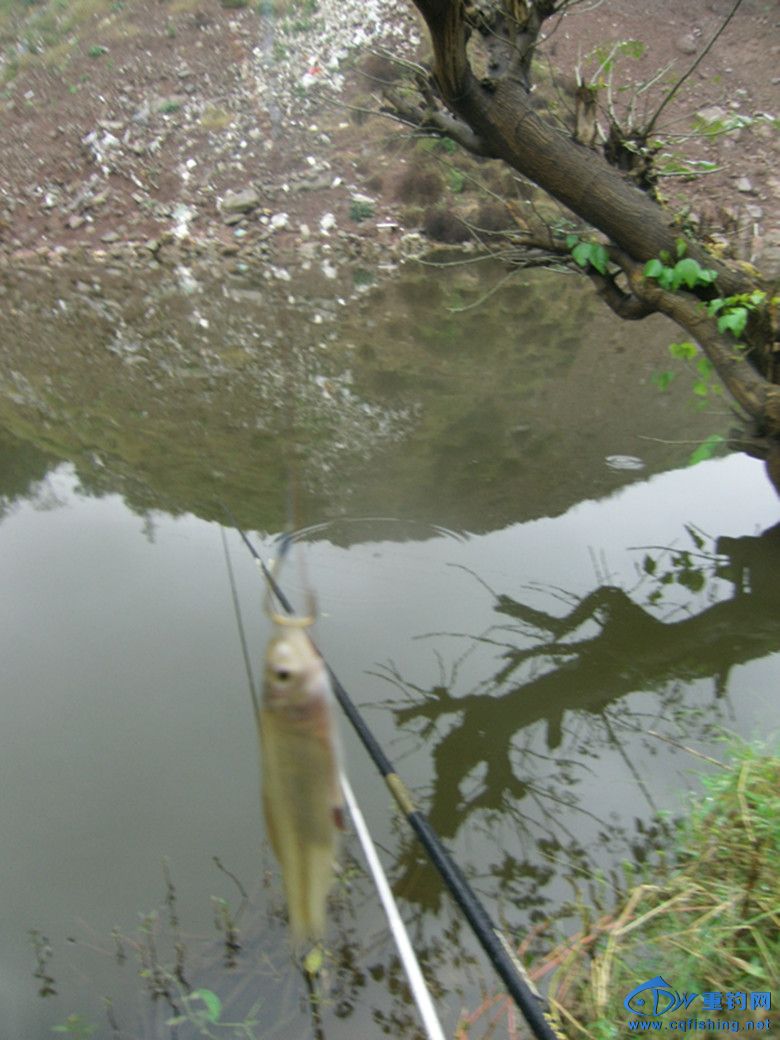GEDC0041_.jpg