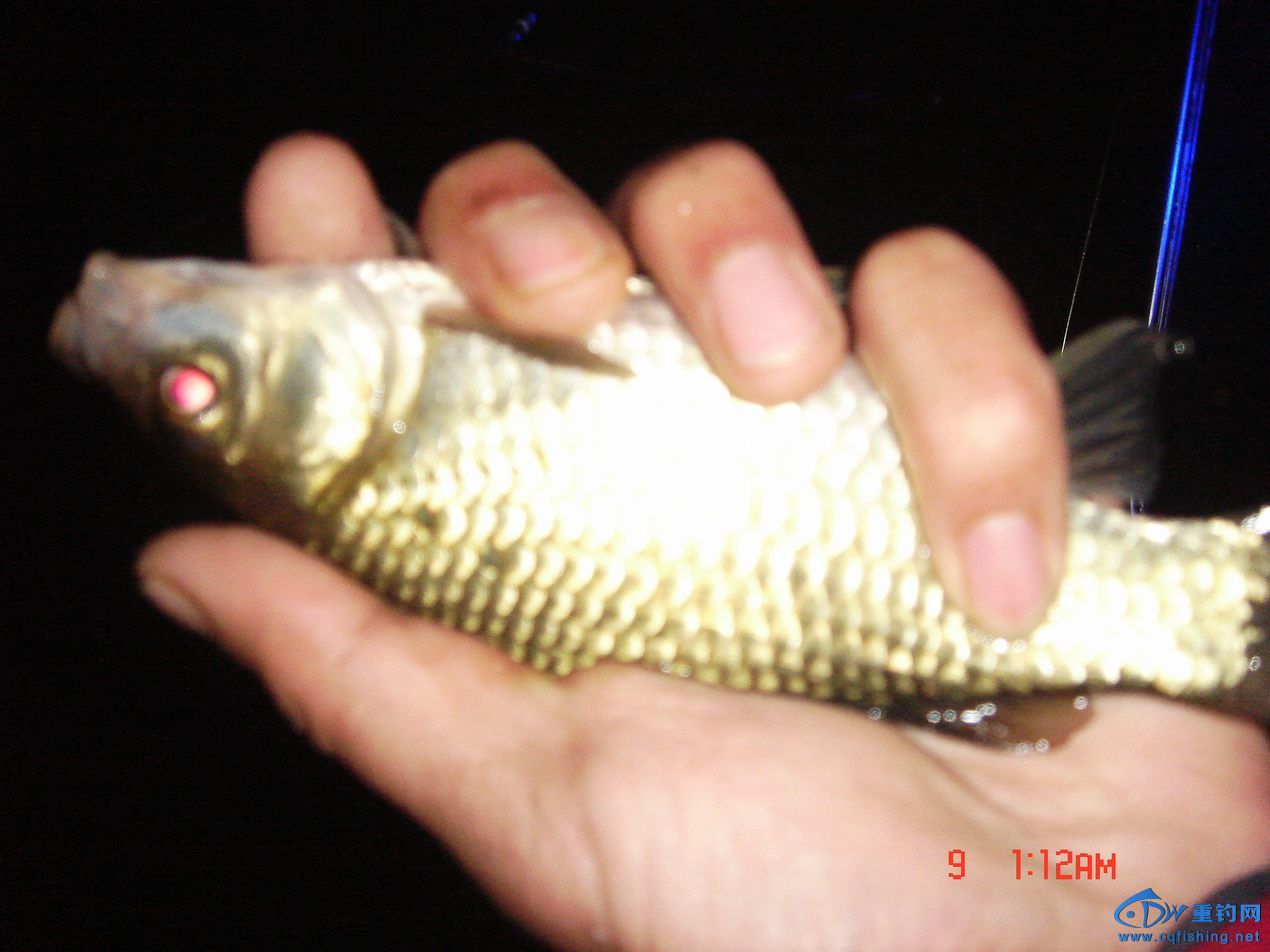 DSC03795.JPG