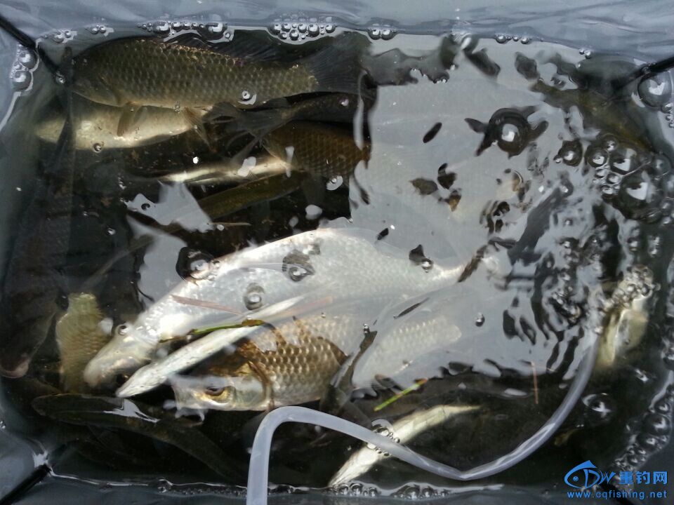 QQͼƬ20141109222530.jpg
