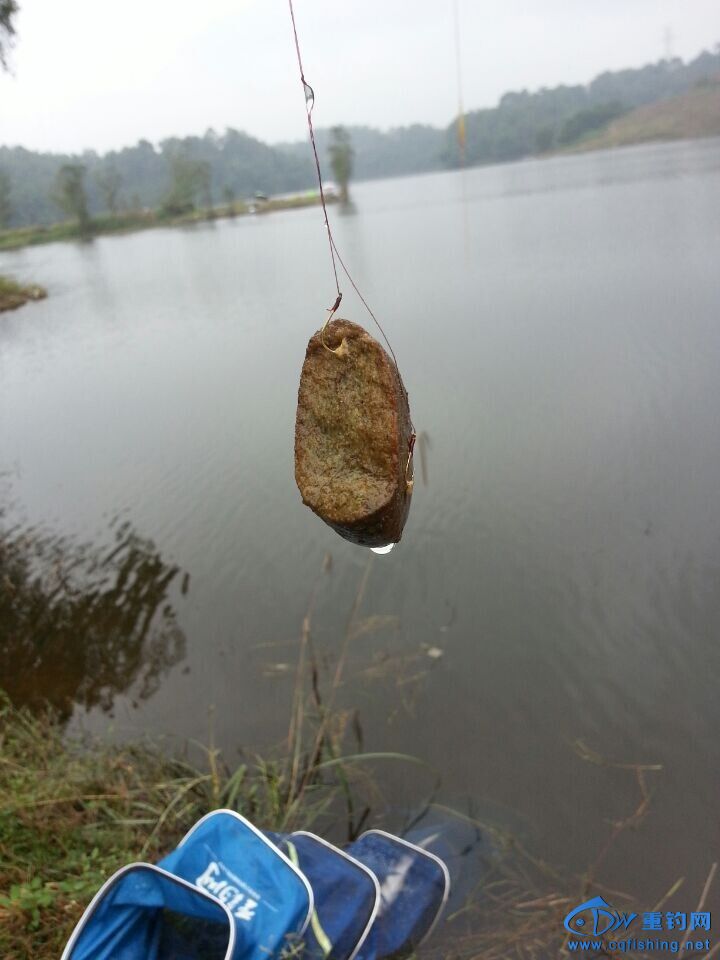 QQͼƬ20141109222602.jpg