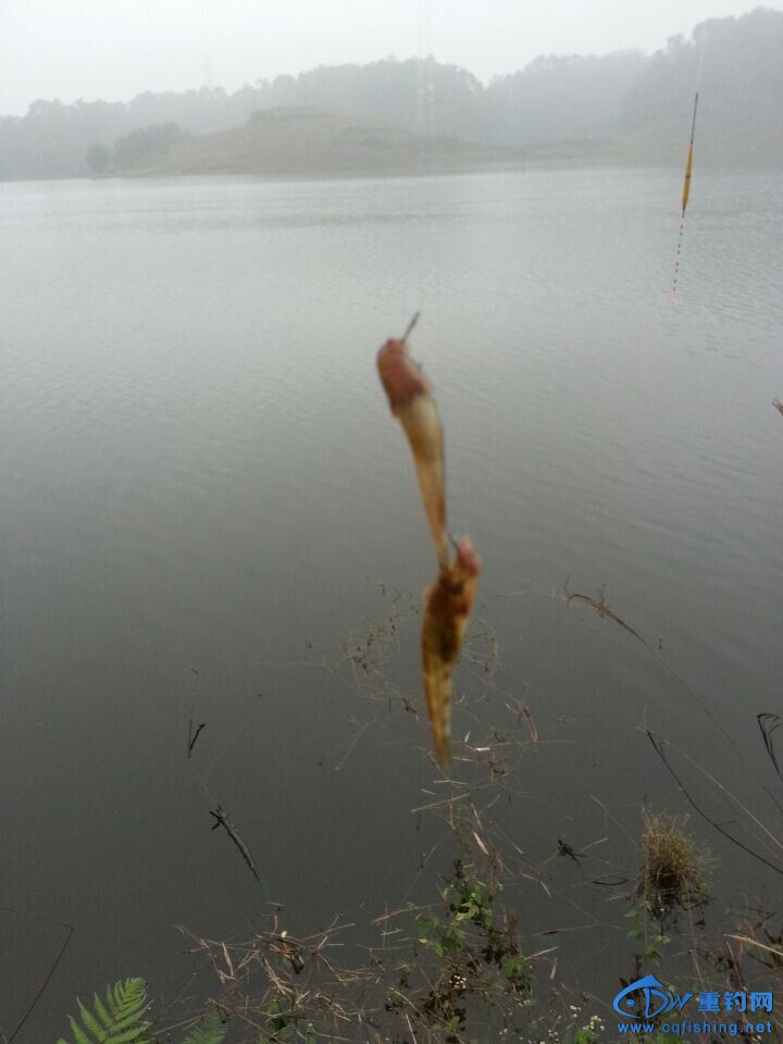 QQͼƬ20141109222728.jpg