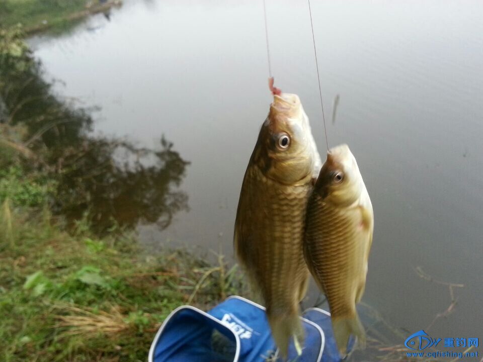 QQͼƬ20141109222725.jpg