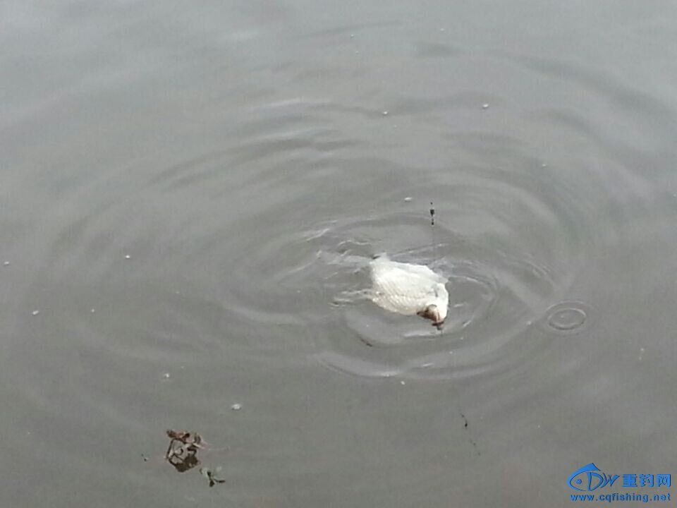 QQͼƬ20141109223040.jpg