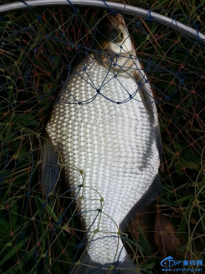 QQͼƬ20141109223047.jpg