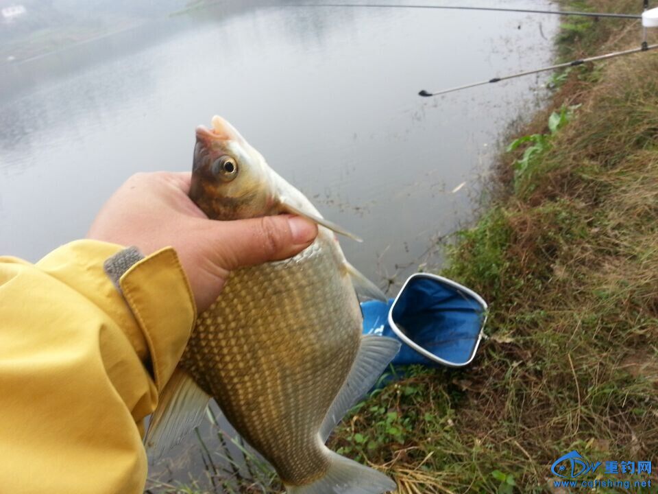 QQͼƬ20141109223054.jpg