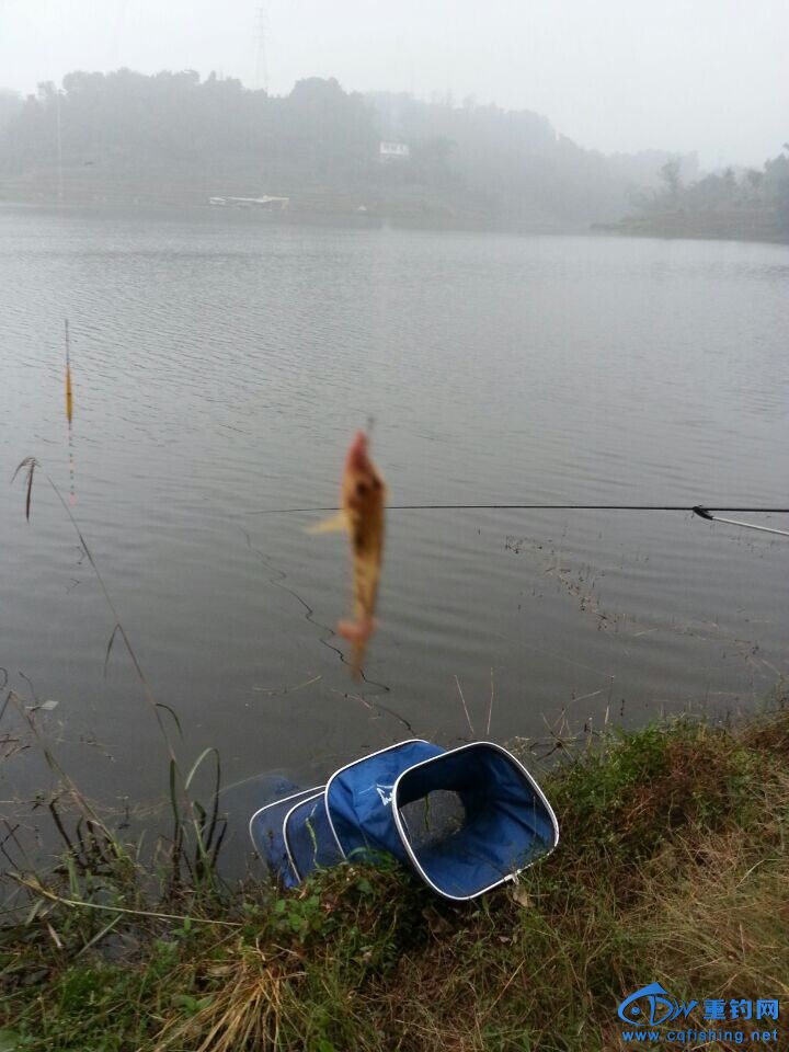 QQͼƬ20141109223107.jpg