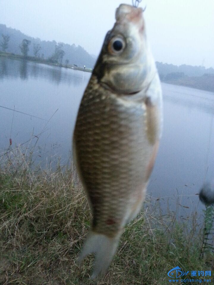 QQͼƬ20141109223146.jpg