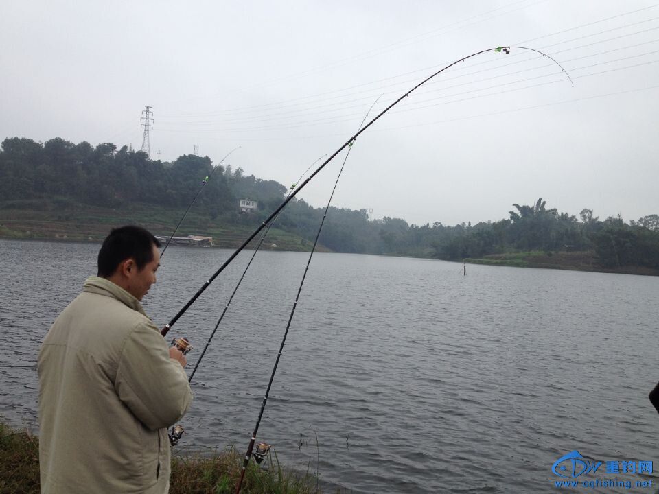 QQͼƬ20141109223331.jpg